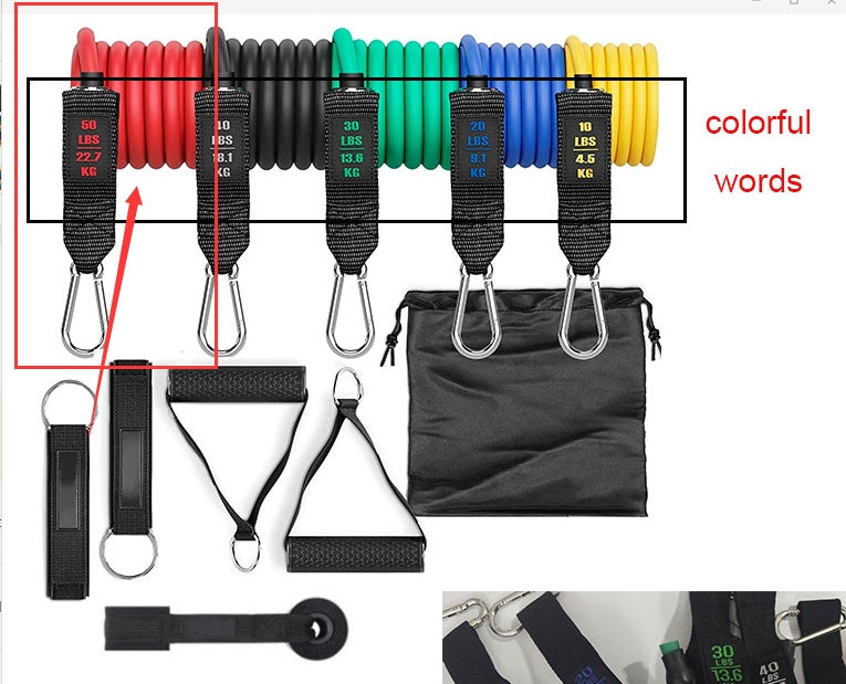 Fitness Rally Elastic Rope – Resistance Band for Strength Training, Yoga & Home Workouts – Noor Mart