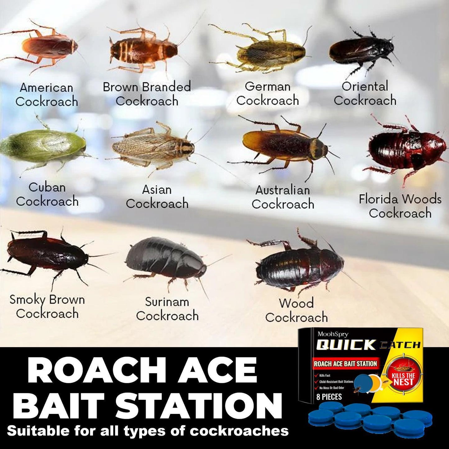 Cockroach Killer Bait Station | Home & Kitchen Insect Repellent – Noor Mart