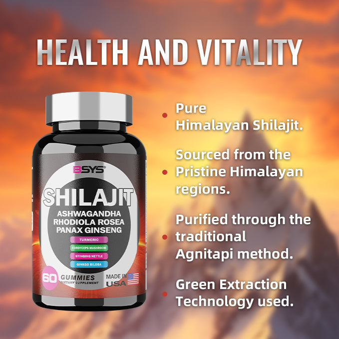 BSYS 8-in-1 Shilajit Gummies – 60 Count | Energy, Strength & Wellness Support – Noor Mart