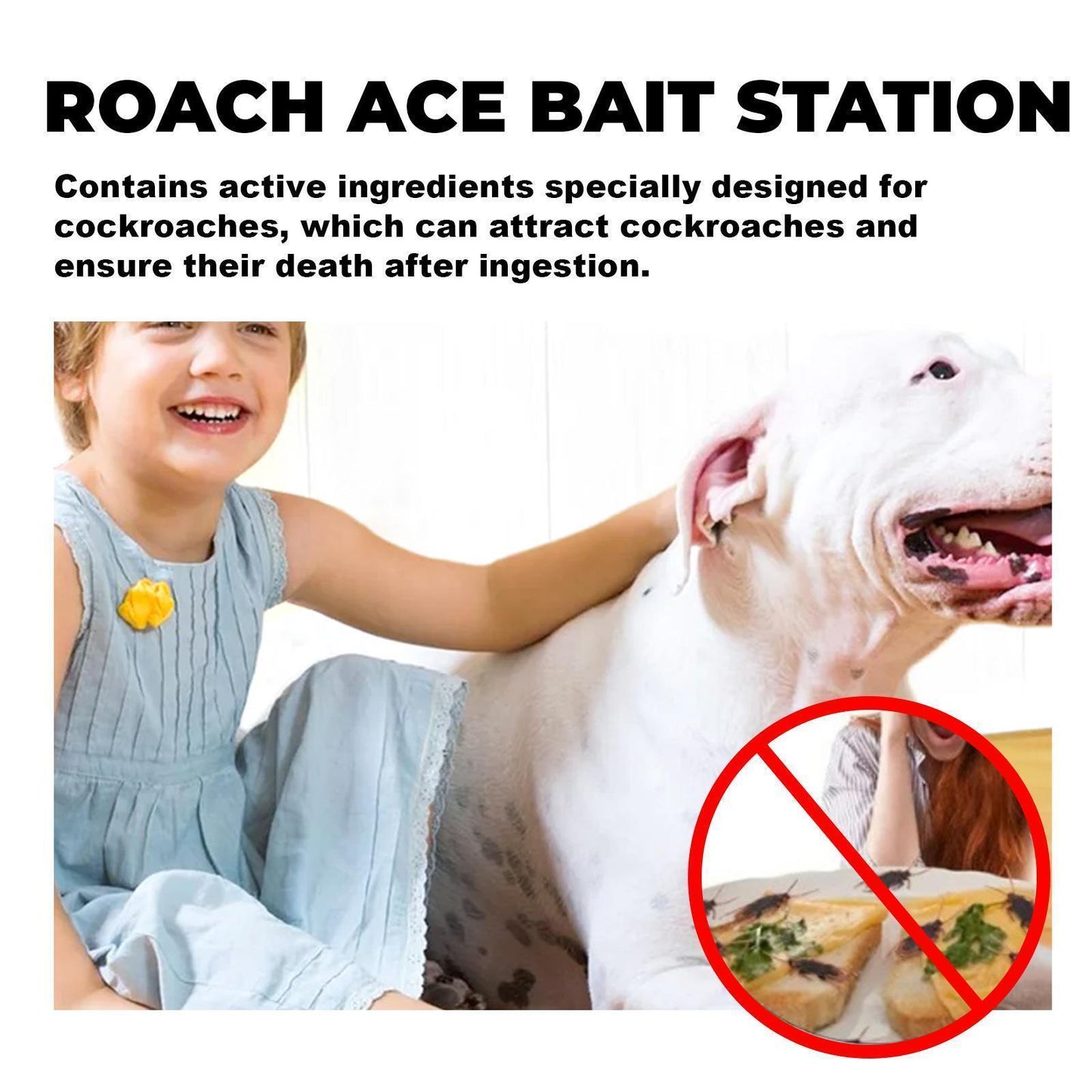Cockroach Killer Bait Station | Home & Kitchen Insect Repellent – Noor Mart